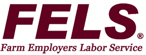 FELS Logo